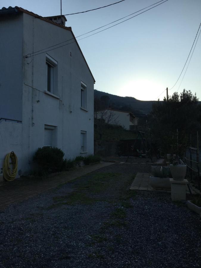Appartement T1Bis Dans Un Mas Port Vendres Kültér fotó